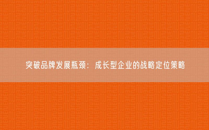 突破品牌发展瓶颈：成长型企业的战略定位策略(图1)